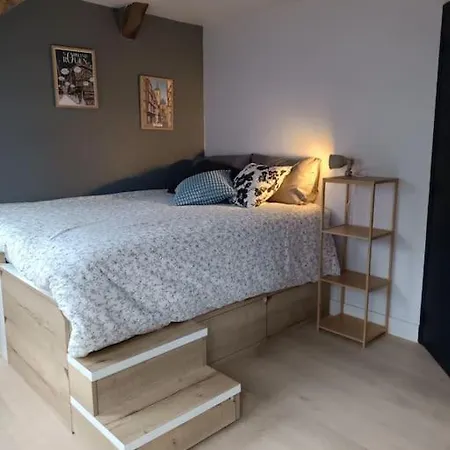 Triplex Hypercentre Avec Parking Apartment