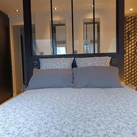 Triplex Hypercentre Avec Parking