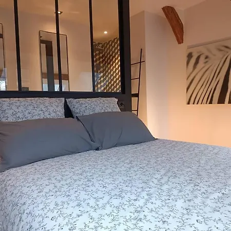 Triplex Hypercentre Avec Parking Appartamento *