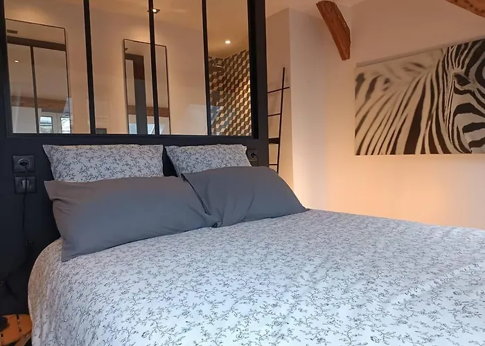 Triplex Hypercentre Avec Parking Apartment *