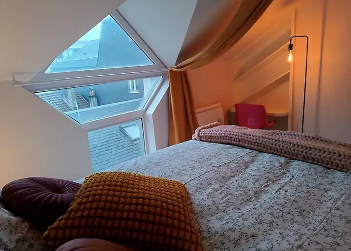 Triplex Hypercentre Avec Parking Apartment *